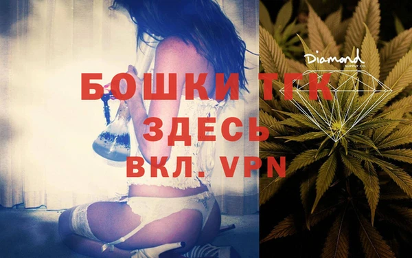 амф Верея
