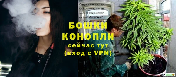 амф Верея