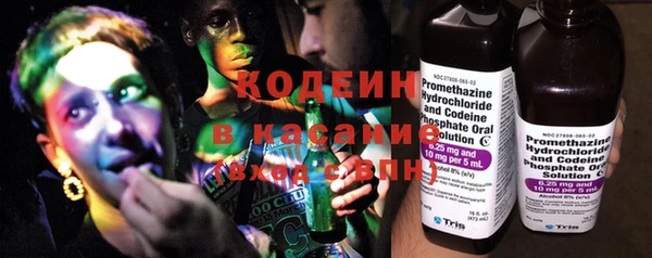 амф Верея