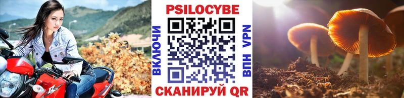 Галлюциногенные грибы MAGIC MUSHROOMS  Купить где  Енисейск 